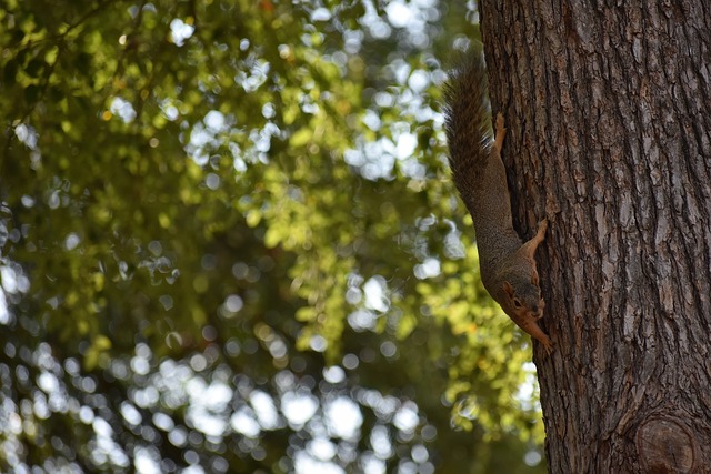 阿坎吉：租借结束想继续留在国米；世界杯扩军会影响比赛质量