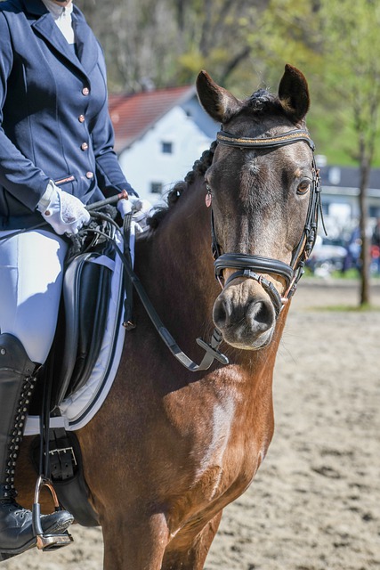 如何打造球队战术体系？