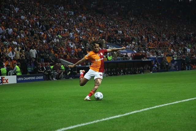 像有时因其 像有时因其