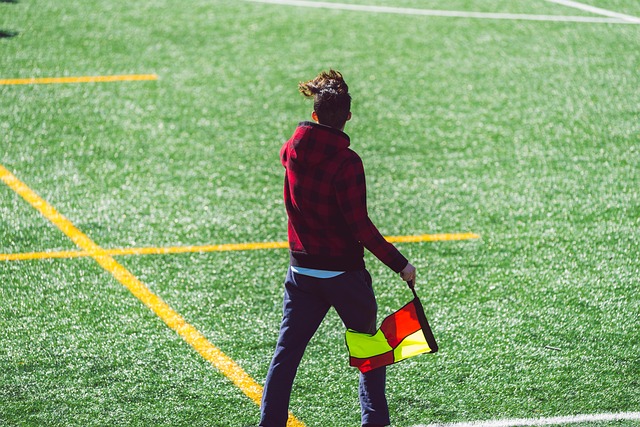 在意甲赛场 在意甲赛场