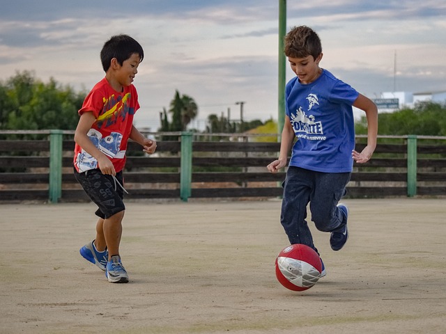 迷对球队的 迷对球队的