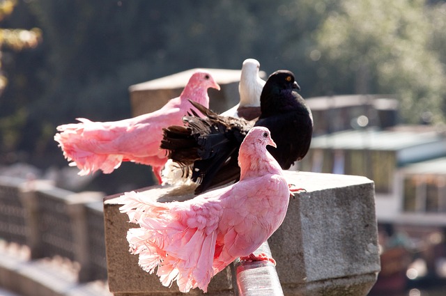在短时间内 在短时间内