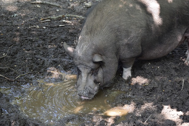 利同样重要 利同样重要