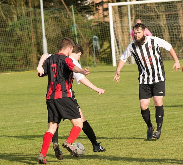 国际交流比 国际交流比