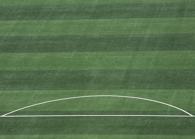 篮球未来的 篮球未来的