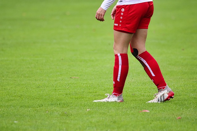 的竞速之旅 的竞速之旅