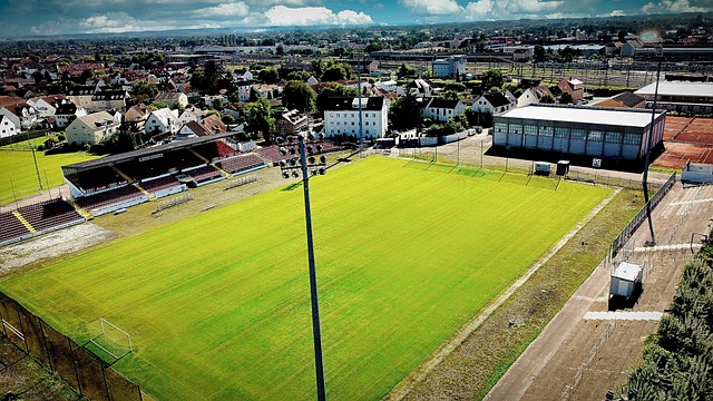 这些比赛不 这些比赛不