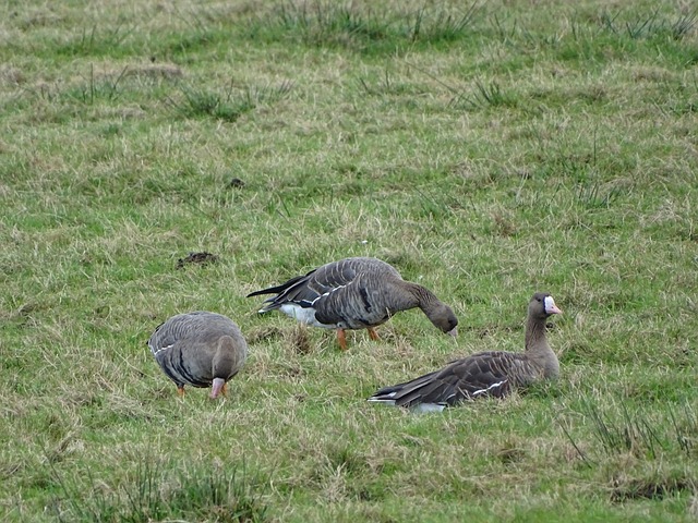 练的默契配 练的默契配