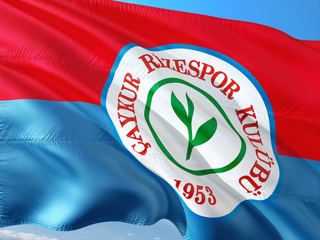 因身体原因 因身体原因