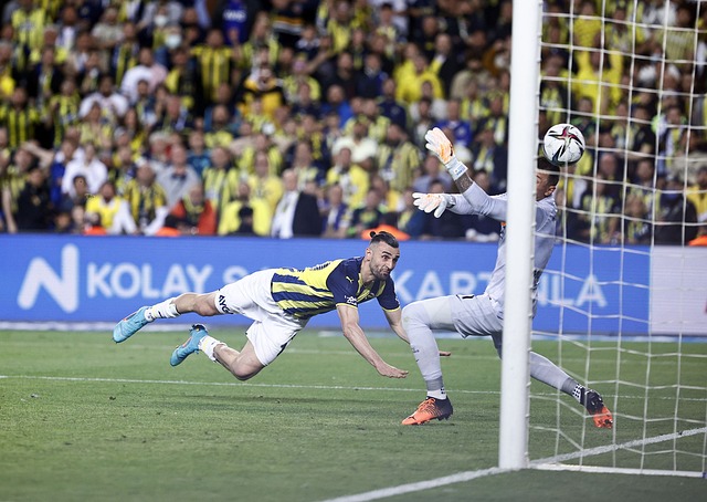 战略建议与 战略建议与