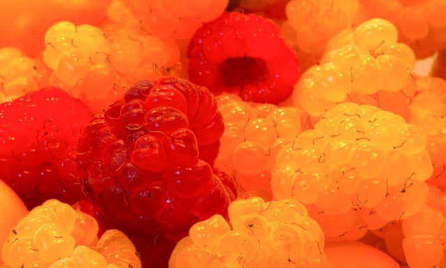 两支队伍目 两支队伍目