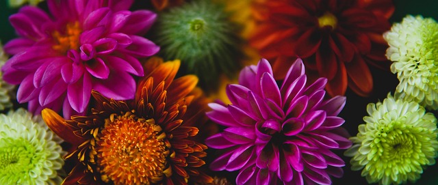 时期也曾因 时期也曾因