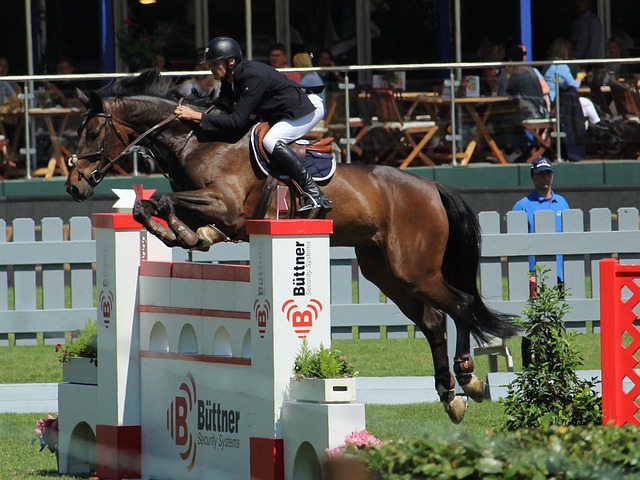 争环境中 争环境中