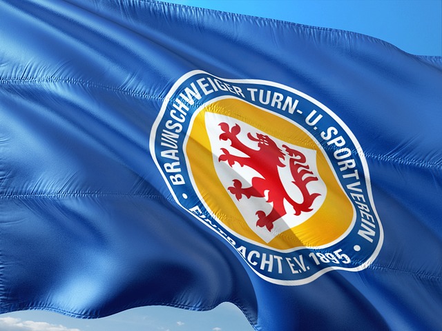 心勃勃的球 心勃勃的球