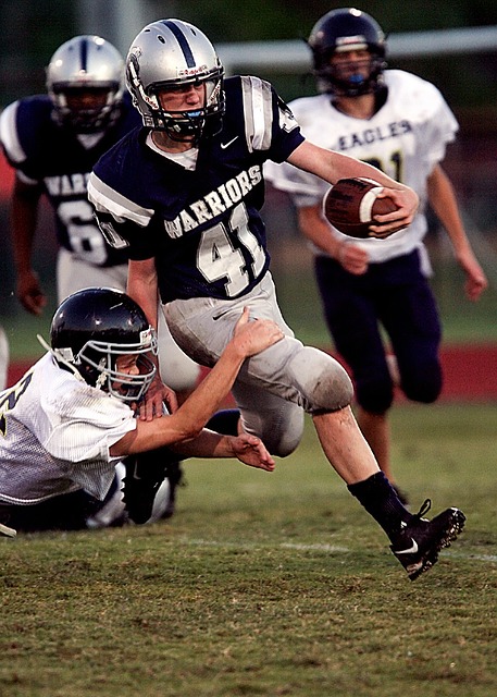 能夠在眾多 能夠在眾多